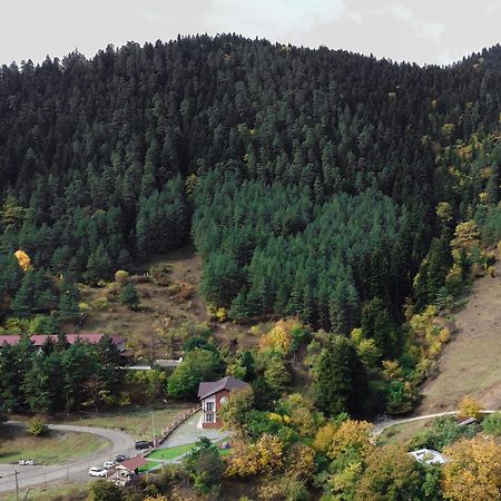 Holiday Borjomi Qvibisi Eksteriør billede