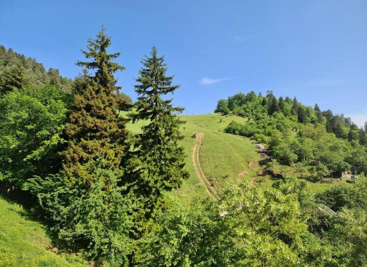 Holiday Borjomi Qvibisi Eksteriør billede