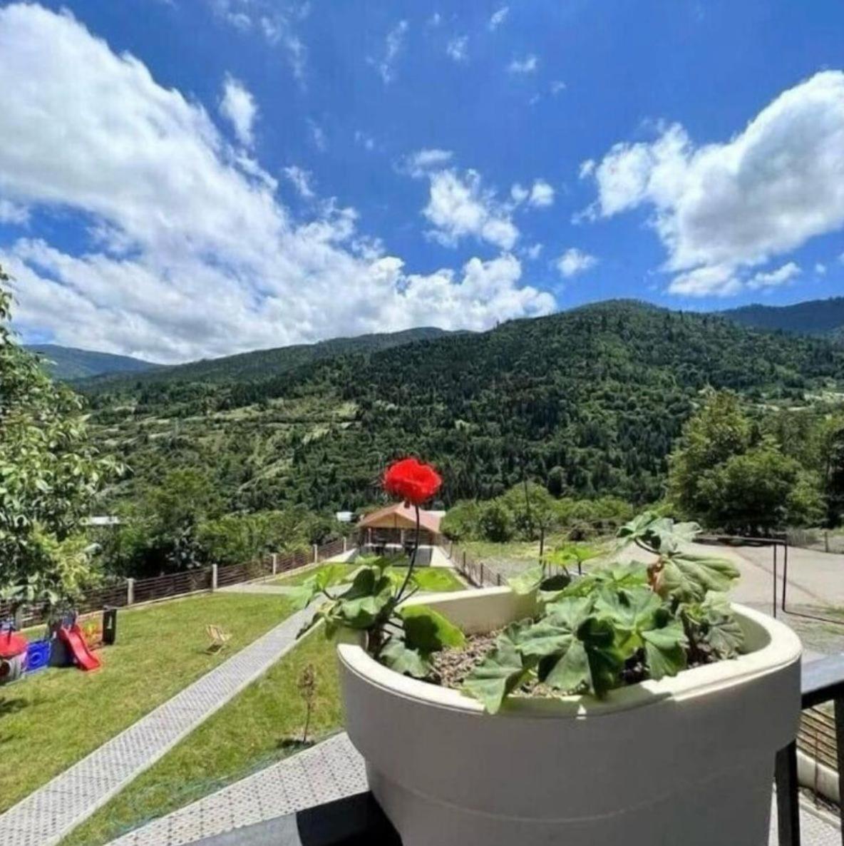 Holiday Borjomi Qvibisi Eksteriør billede