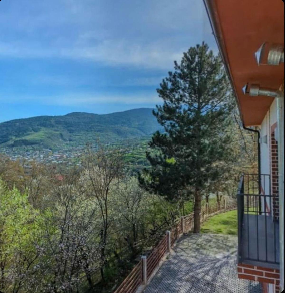 Holiday Borjomi Qvibisi Eksteriør billede