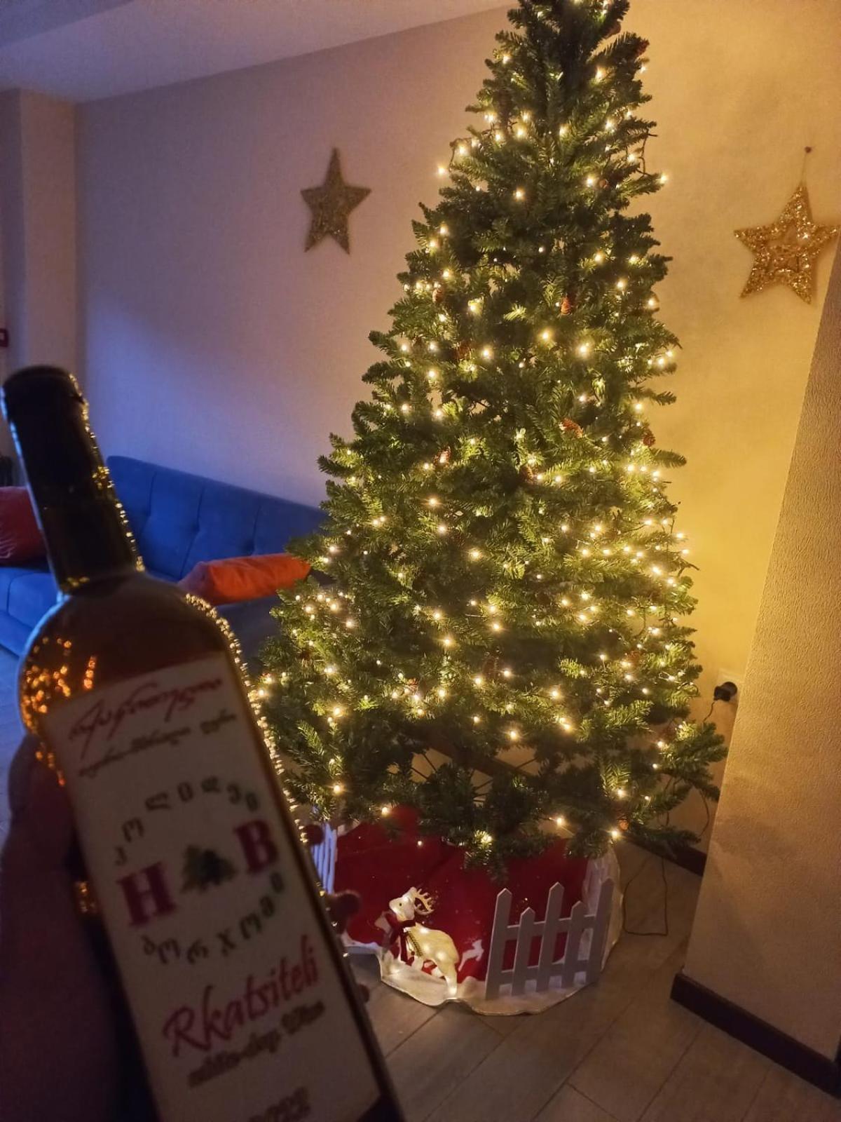 Holiday Borjomi Qvibisi Eksteriør billede