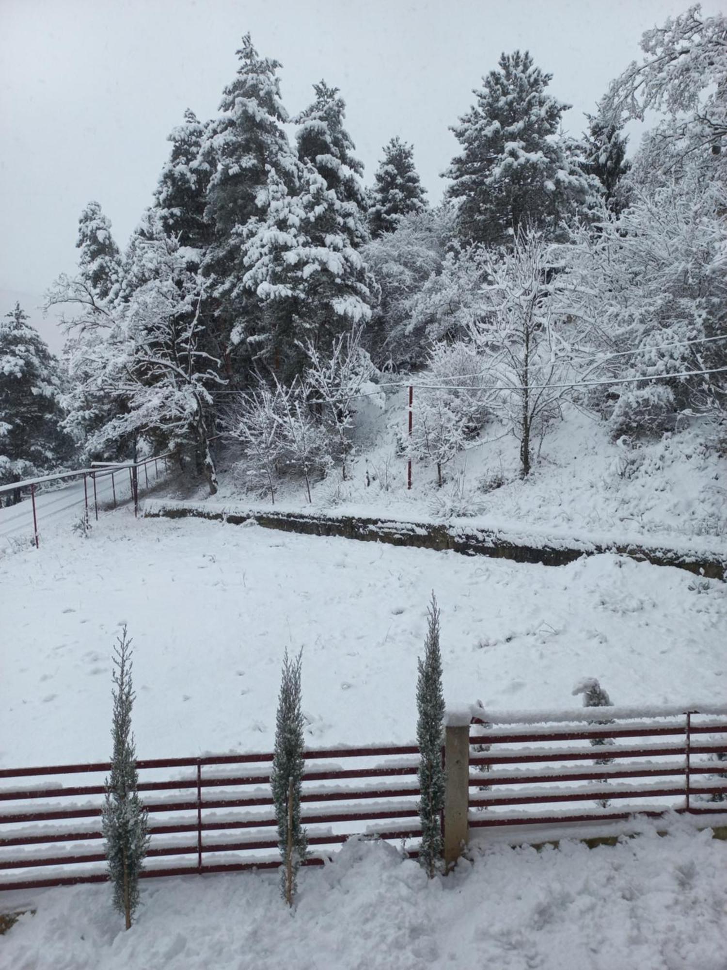 Holiday Borjomi Qvibisi Eksteriør billede