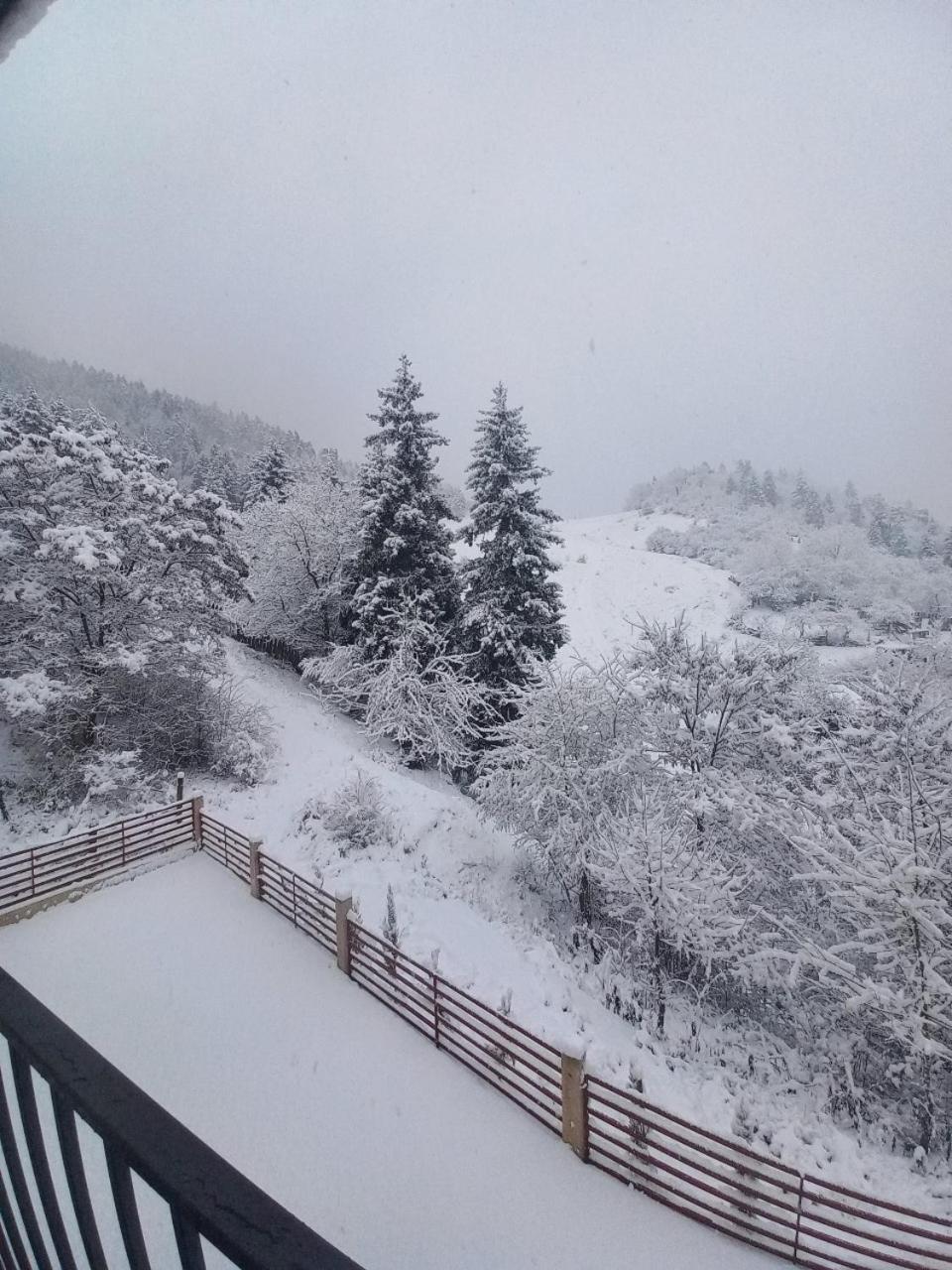 Holiday Borjomi Qvibisi Eksteriør billede
