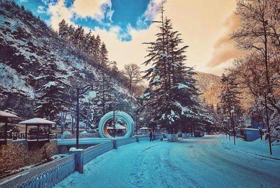 Holiday Borjomi Qvibisi Eksteriør billede